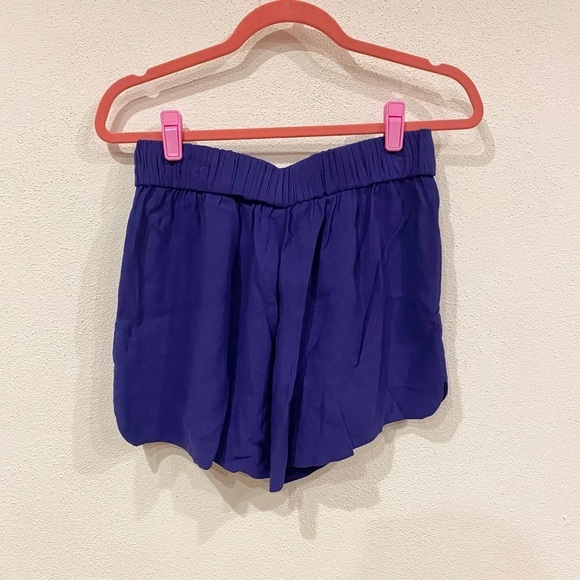 IRO Purple Gaely Shorts Size Medium EUC - Picture 4 of 4